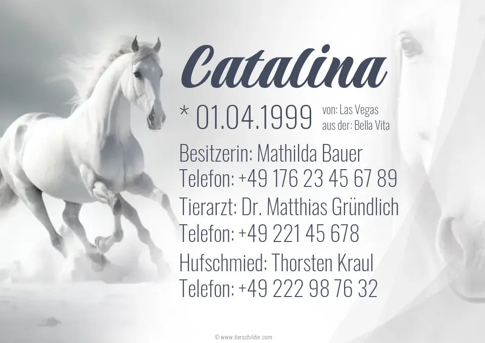 Boxenschild "White Dream"