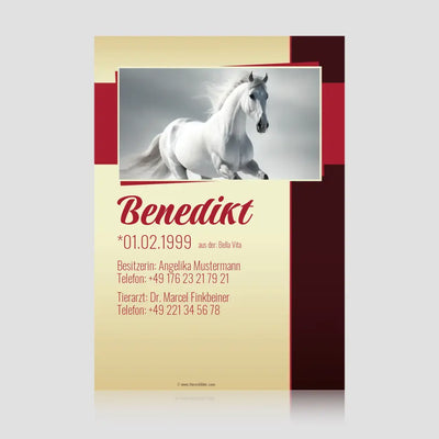 Boxenschild "Moonlight Shadow" – personalisiertes Pferdeschild