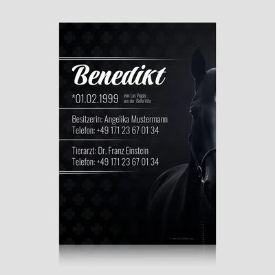 Boxenschild "Eldorado" – personalisiertes Pferdeschild