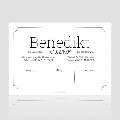 Boxenschild mit Futterplan "Classica" – personalisiertes Pferdeschild