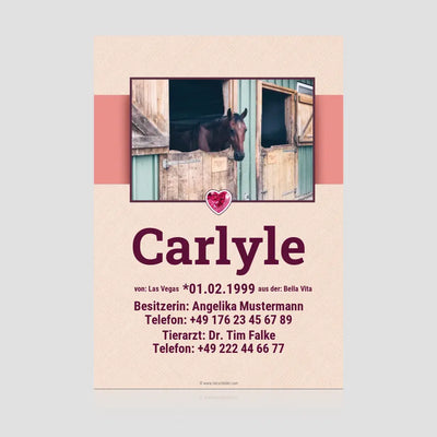 Boxenschild "Rose Diamond"