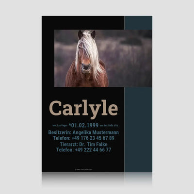 Boxenschild "Carlyle"