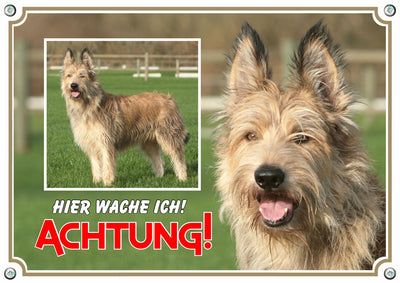 Berger de picardie - Hier wache ich – Hundeschild aus Aluminium