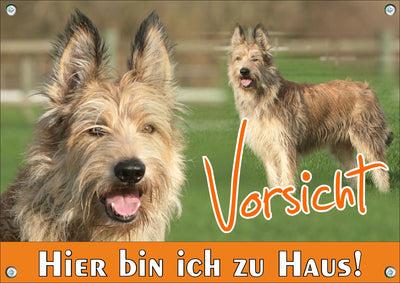 Berger de picardie - Hier bin ich zu Haus – Hundeschild aus Aluminium