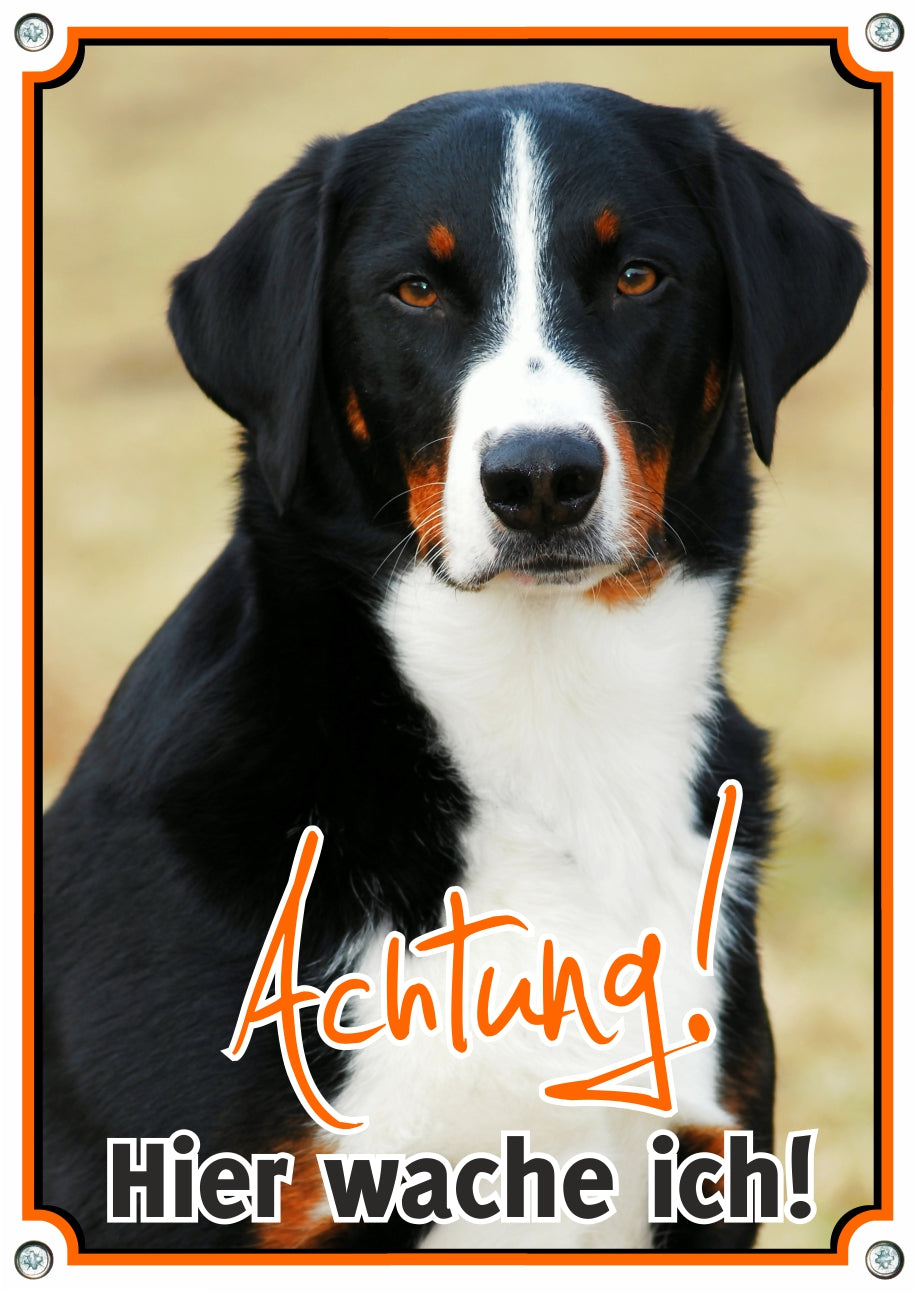 Appenzeller Sennenhund - Hier wache ich