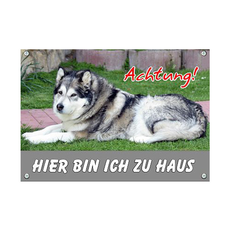 Alaskan Malamute - Achtung! Hier bin ich zu Haus