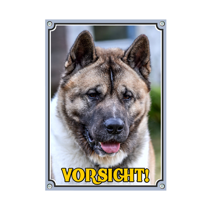 American Akita - Vorsicht