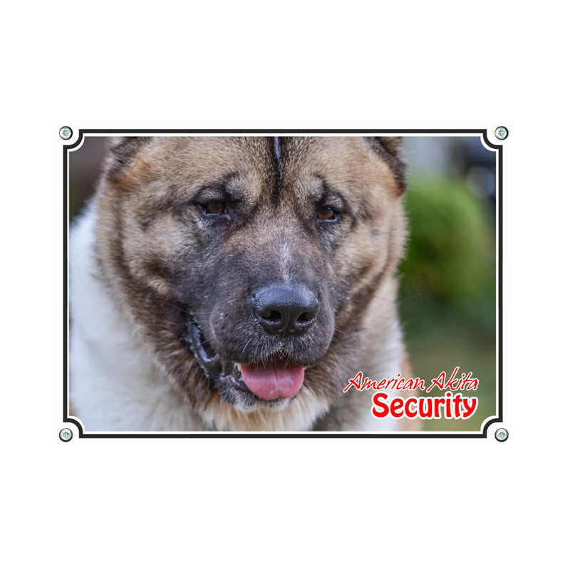 American Akita - Security