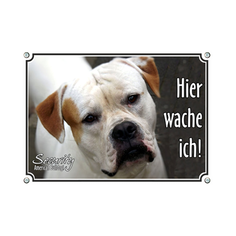 American Bulldog - Hier wache ich