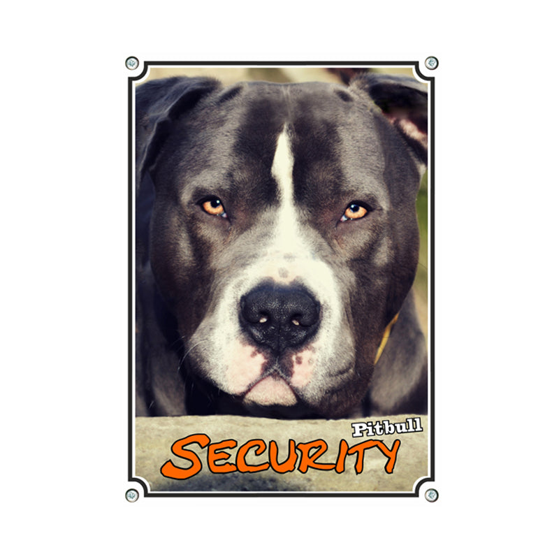 American Pitbull Terrier - Security