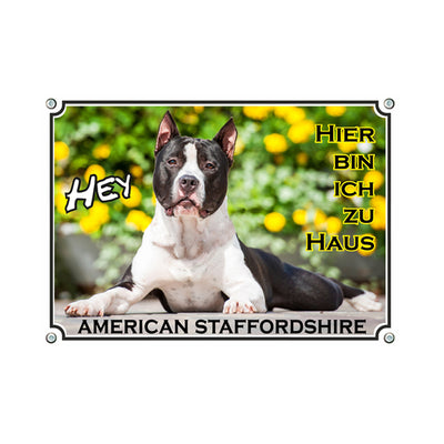 American Staffordshire Terrier - Hey hier bin ich Zuhaus – Hundeschild aus Aluminium