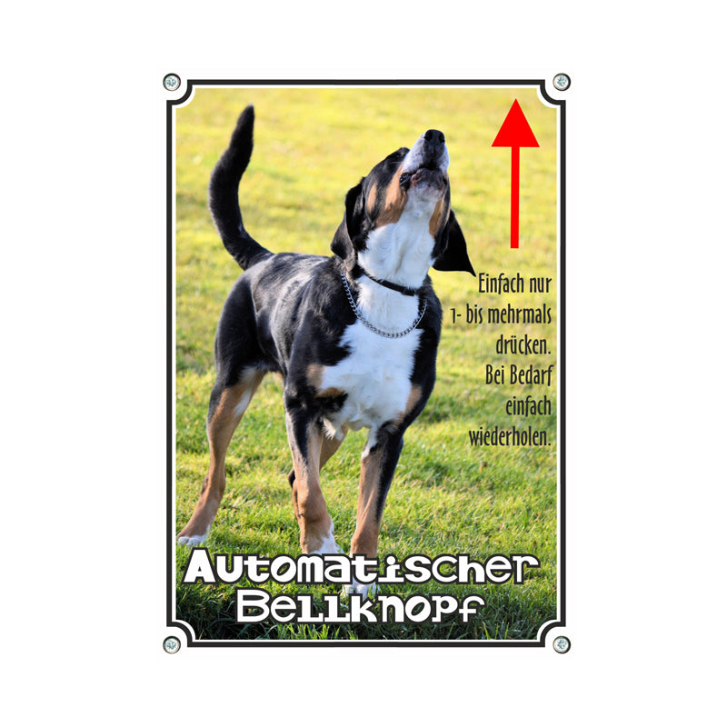 Appenzeller Sennenhund - Automatischer Bellknopf