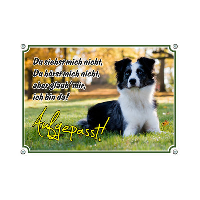 Australian Shepherd - Du siehst mich nicht – Hundeschild aus Aluminium