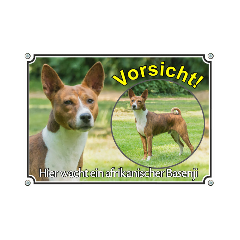 Basenji - Vorsicht