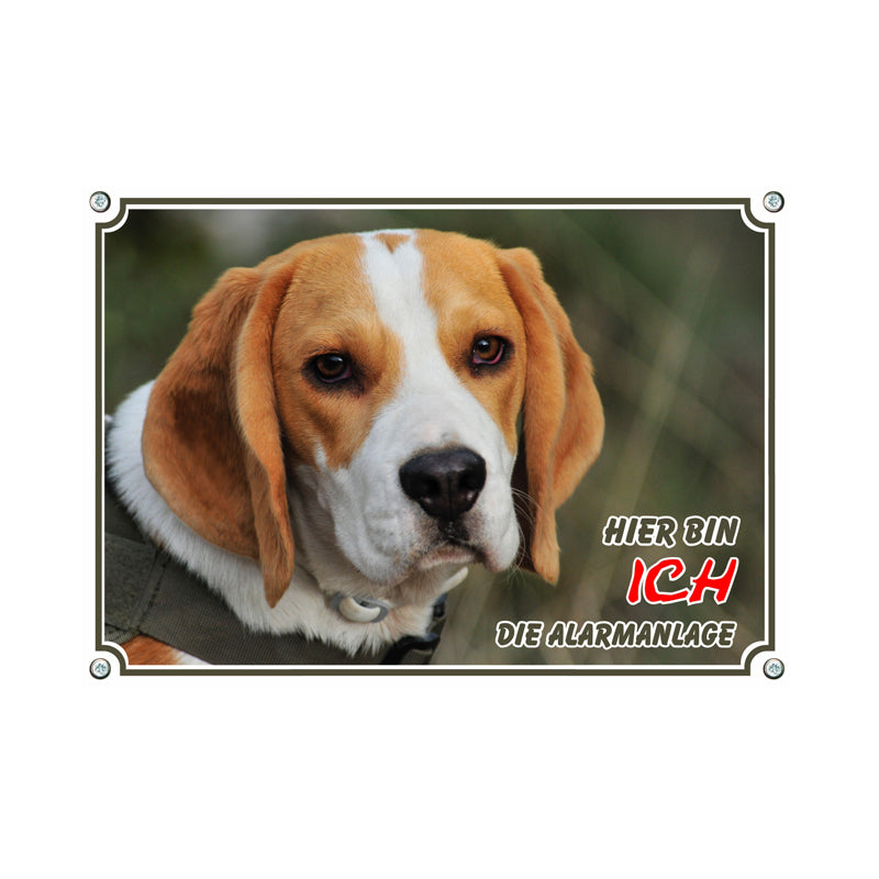 Beagle - Alarmanlage
