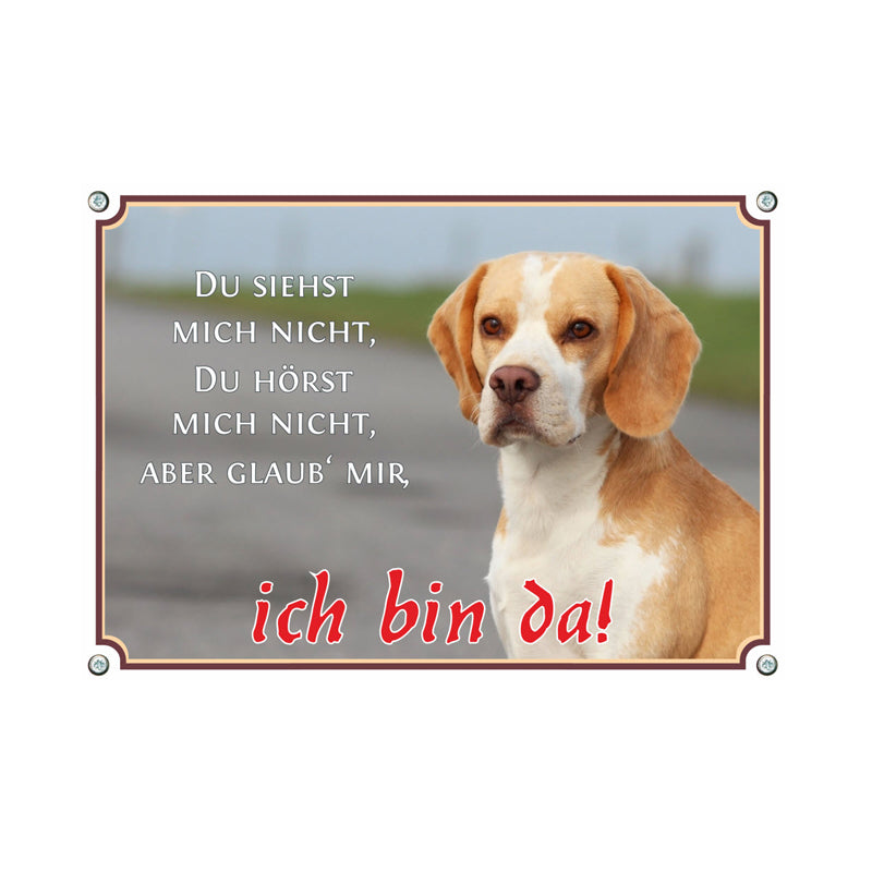 Beagle - Ich bin da