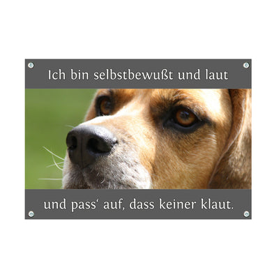 Beagle - Selbstbewusst – Hundeschild aus Aluminium
