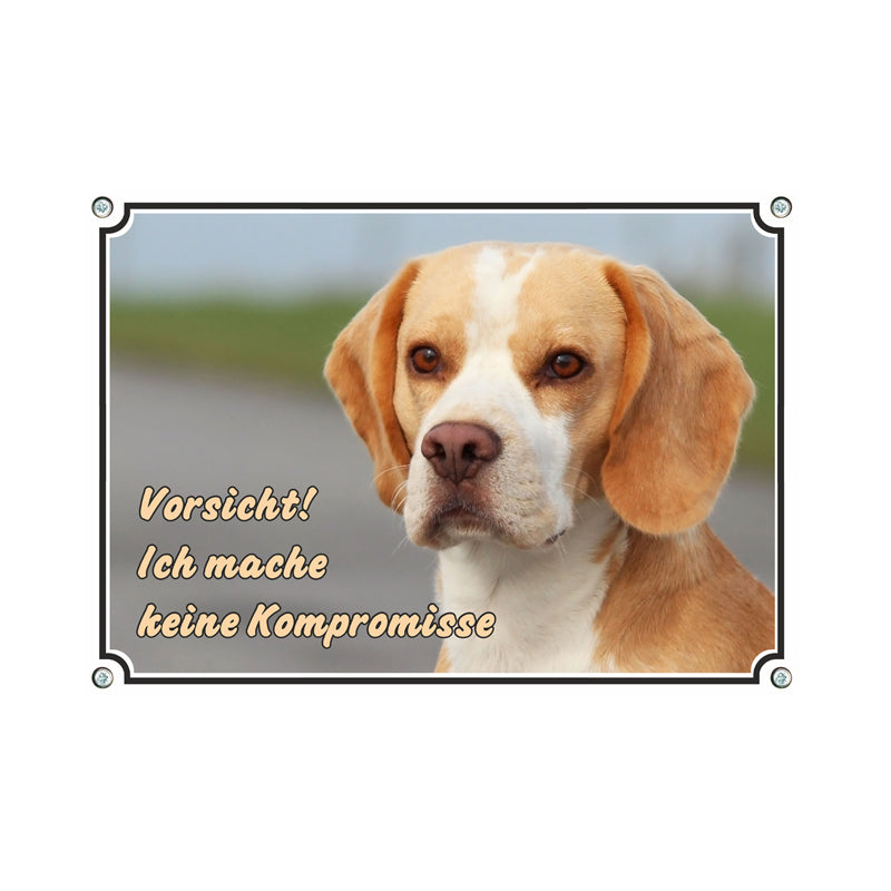 Beagle - Kompromisse