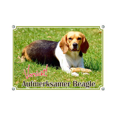 Beagle - Aufmerksamer Beagle – Hundeschild aus Aluminium