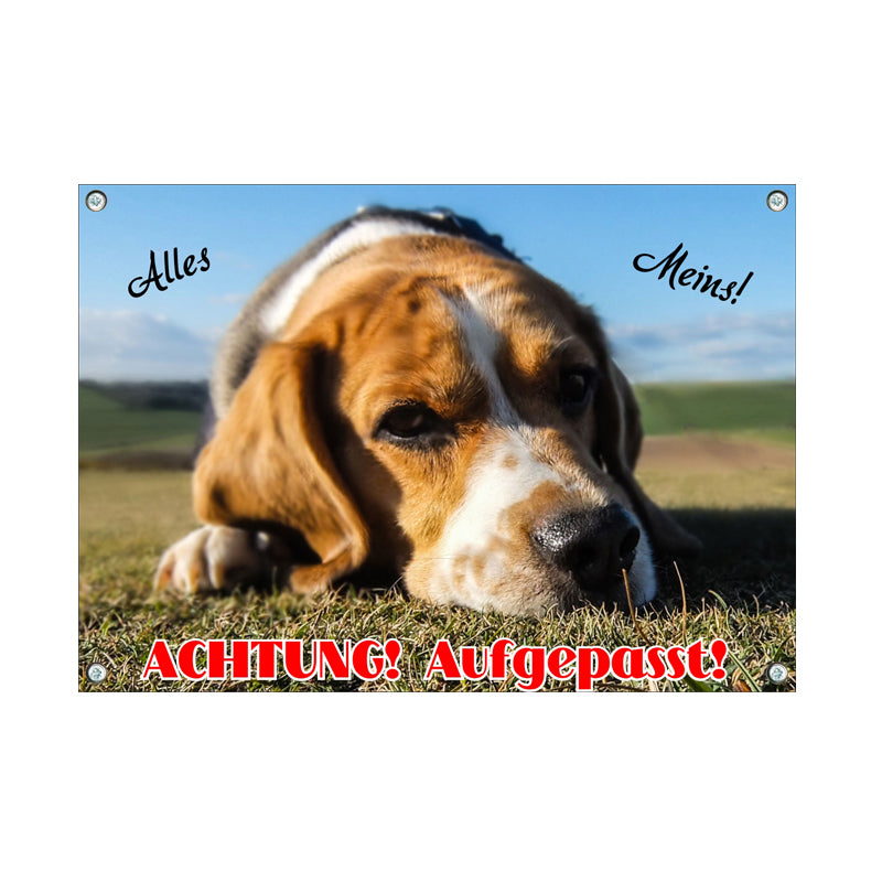 Beagle - Alles Meins