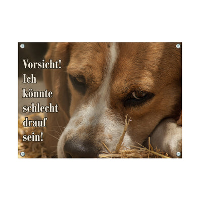 Beagle - Schlecht drauf – Hundeschild aus Aluminium