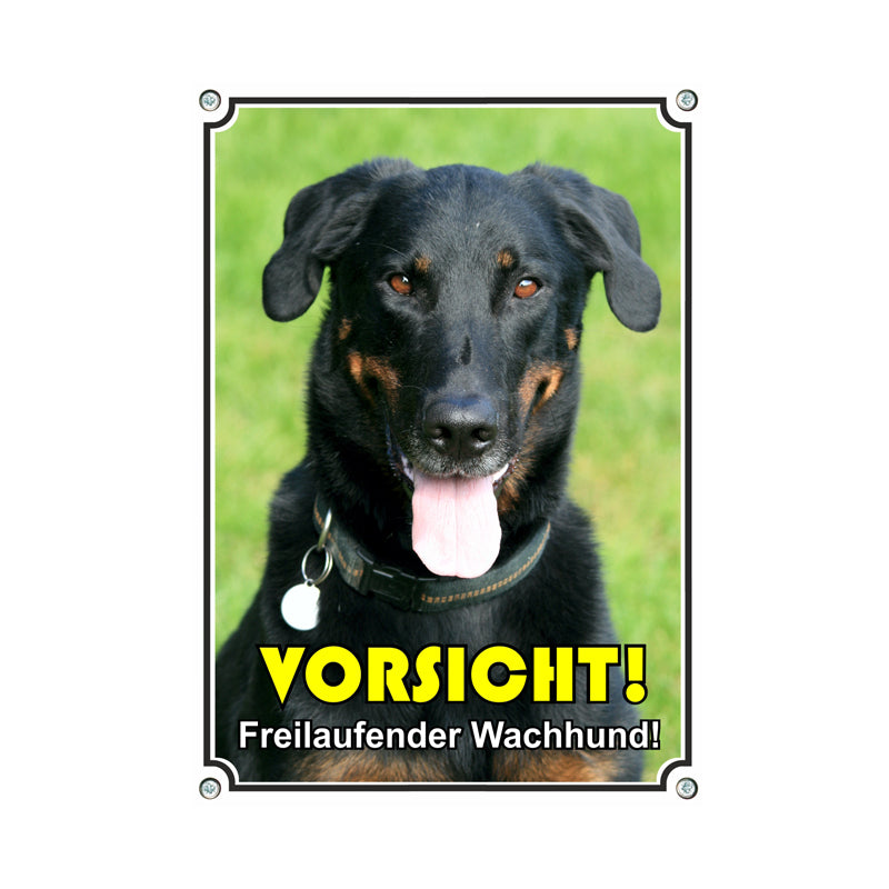 Beauceron - Vorsicht