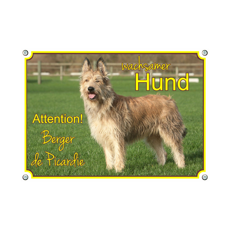 Berger - Wachsamer Hund