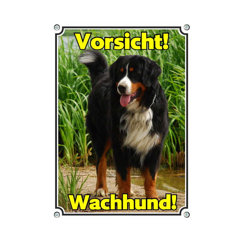 Berner Sennenhund - Wachhund