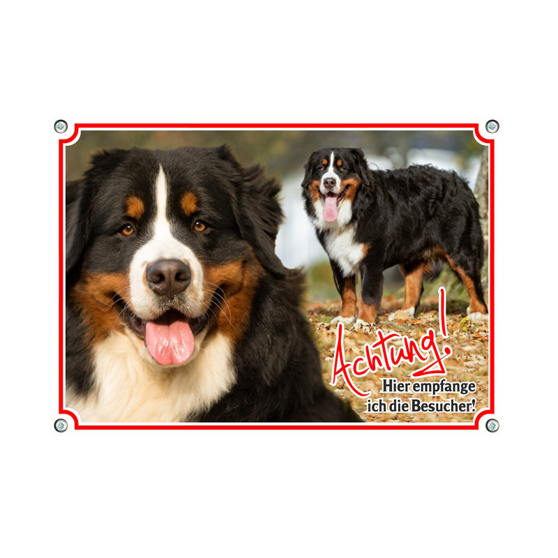 Berner Sennenhund - Hier wache ich B