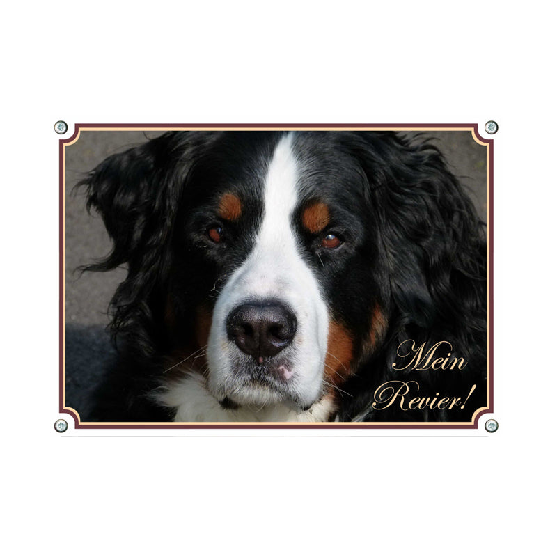 Berner Sennenhund - Mein Revier