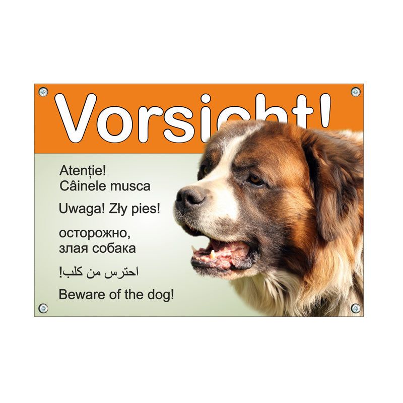 Bernhardiner - Vorsicht