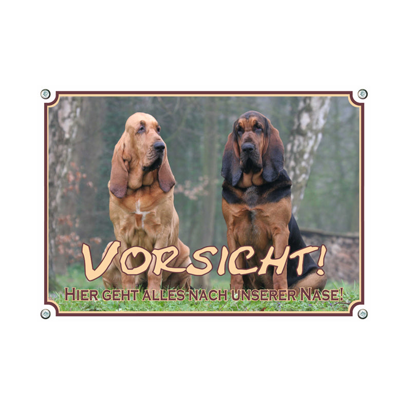 Bloodhound - Vorsicht