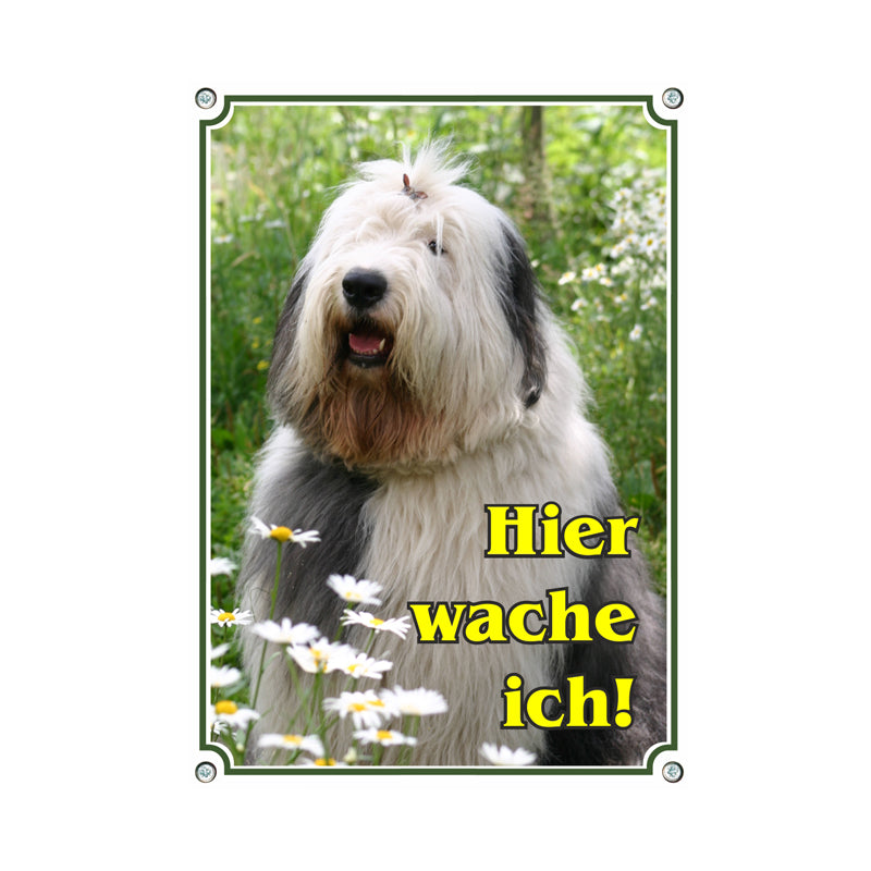 Bobtail - Hier wache ich
