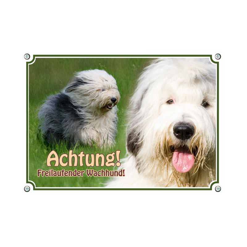 Bobtail - Freilaufender Wachhund