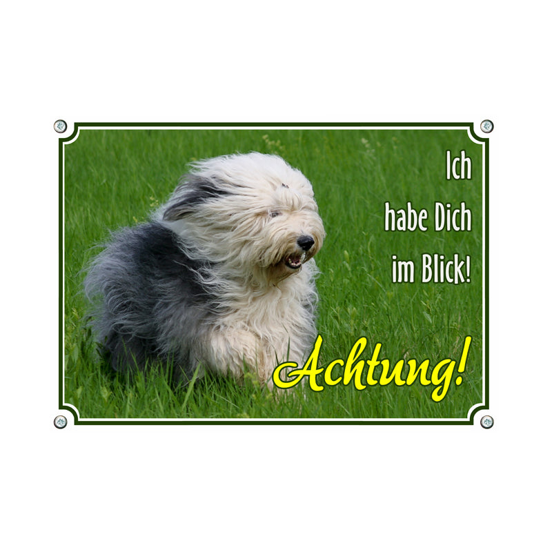 Bobtail - Ich habe dich im Blick