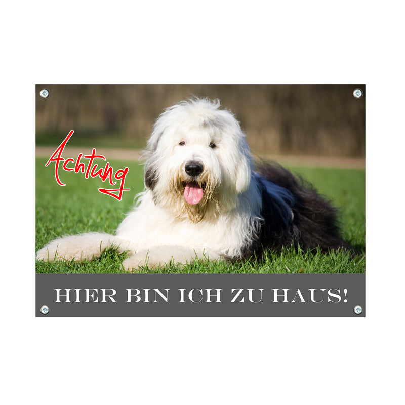 Bobtail - Hier bin ich zu Haus