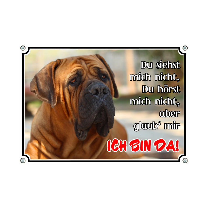 Boerboel - Ich bin da