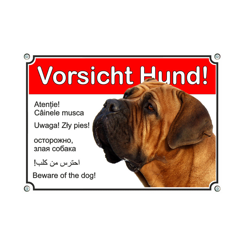 Boerboel - Vorsicht Hund