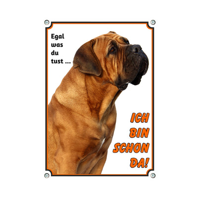 Boerboel - Ich bin schon da – Hundeschild aus Aluminium