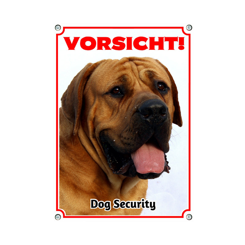 Boerboel - Vorsicht