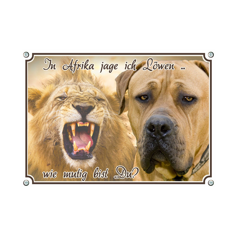 Boerboel - Afrika