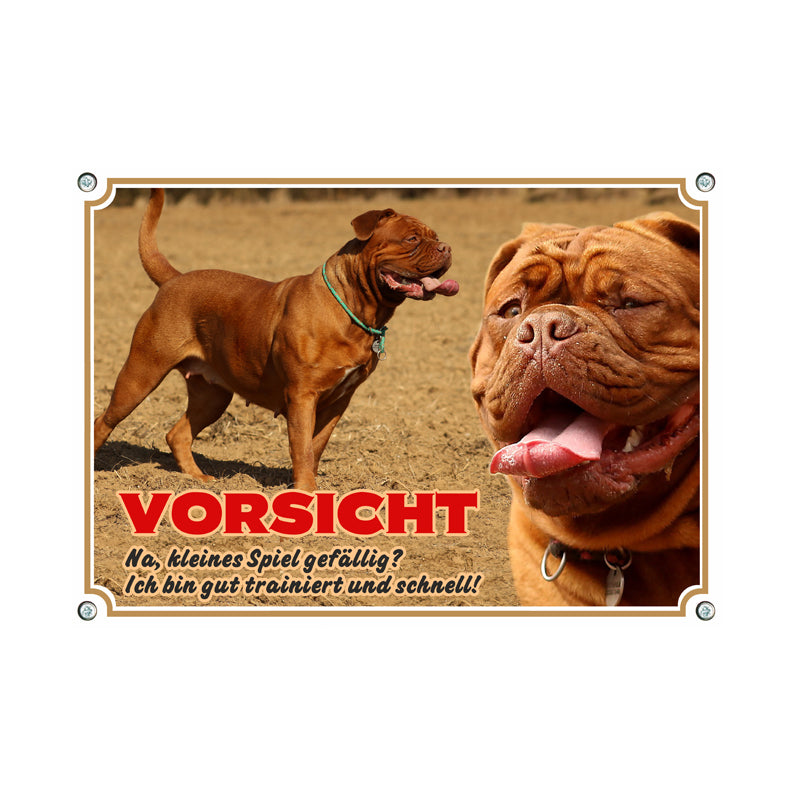 Bordeauxdogge - Kleines Spiel