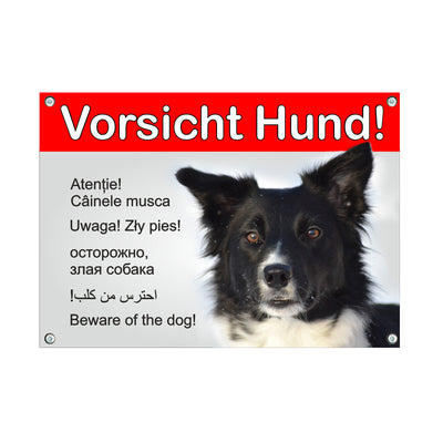 Border Collie - Warnschild 6 Sprachen – Hundeschild aus Aluminium