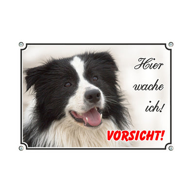 Border Collie - Hier wache ich – Hundeschild aus Aluminium