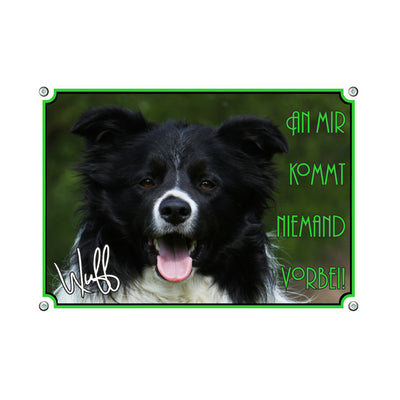 Border Collie - An mir kommt niemand vorbei – Hundeschild aus Aluminium