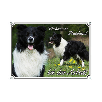Border Collie - Bei der Arbeit – Hundeschild aus Aluminium
