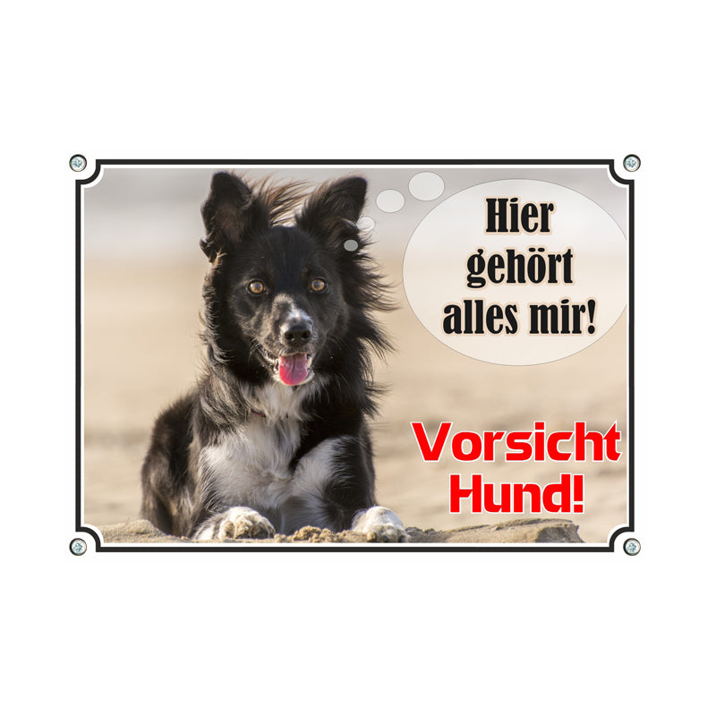 Border Collie - Hier gehört alles mir
