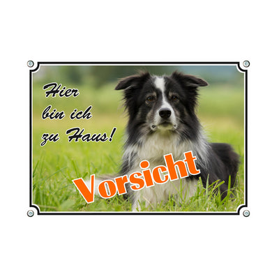 Border Collie - Ich bin hier zu Haus – Hundeschild aus Aluminium