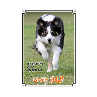 Border Collie - 3 sec. zum Tor – Hundeschild aus Aluminium