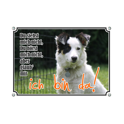 Border Collie - Ich bin da – Hundeschild aus Aluminium